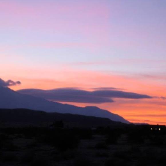 Meet your Posher, Tary - Picture 1 of 1